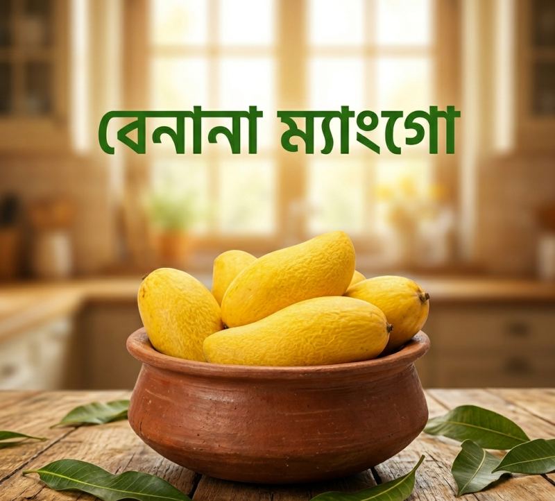 ব্যানানা আম (Banana Mango)